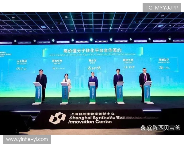鼎利国际：引领全球产业创新与合作的新标杆
