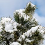 CCTV六频道电影在线直播免费观看 5sw33831n