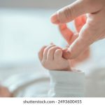 CCTV9在线直播观看:精彩纪录片正在实时放送 mggie