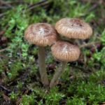 《足球直播8》全程高清免费在线观看中超英超赛事 uxnpj4do